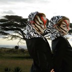 Zebraelfen