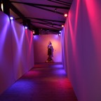 Der Weg zum Buddha